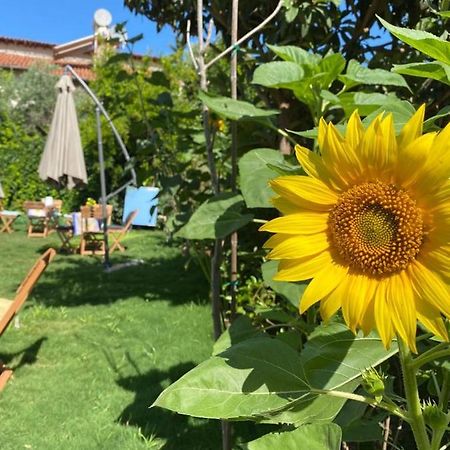 Lemon-Ada Butik Otel Kusadası Exteriér fotografie