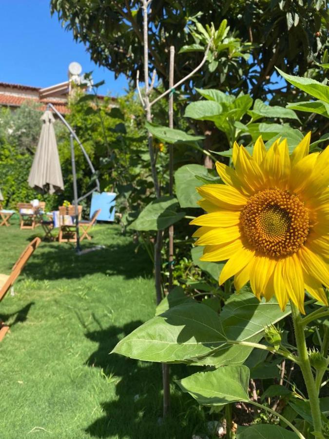 Lemon-Ada Butik Otel Kusadası Exteriér fotografie